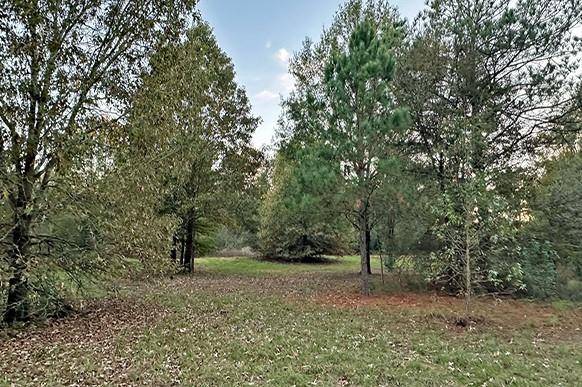 Winnsboro, TX 75494,25.96 AC CR 4885