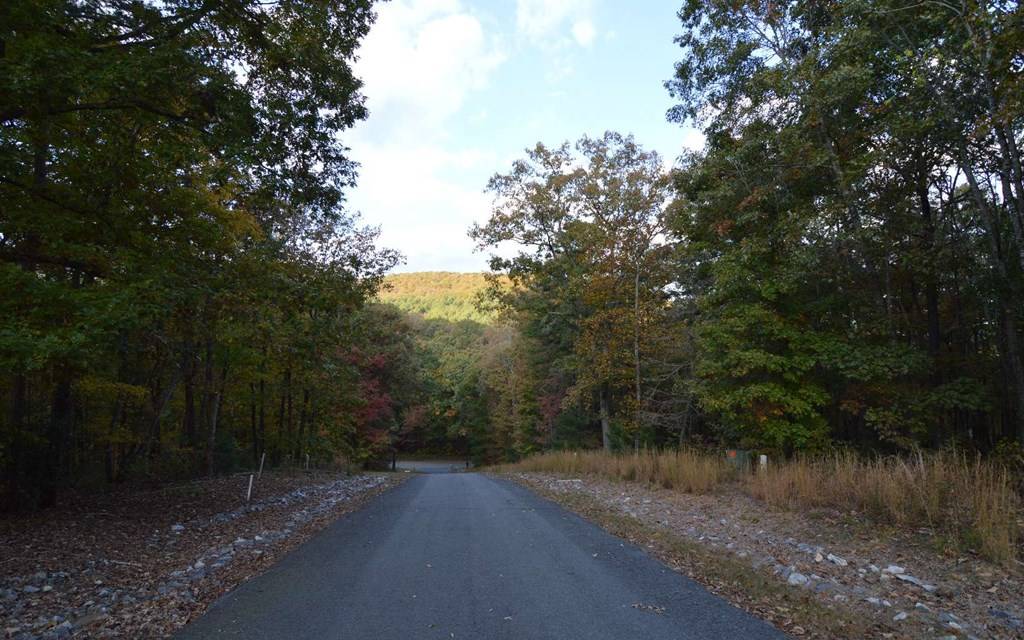 Blairsville, GA 30512,Lot 2 Serenity Ridge