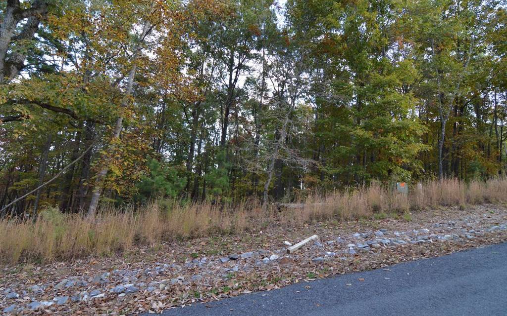 Blairsville, GA 30512,Lot 2 Serenity Ridge