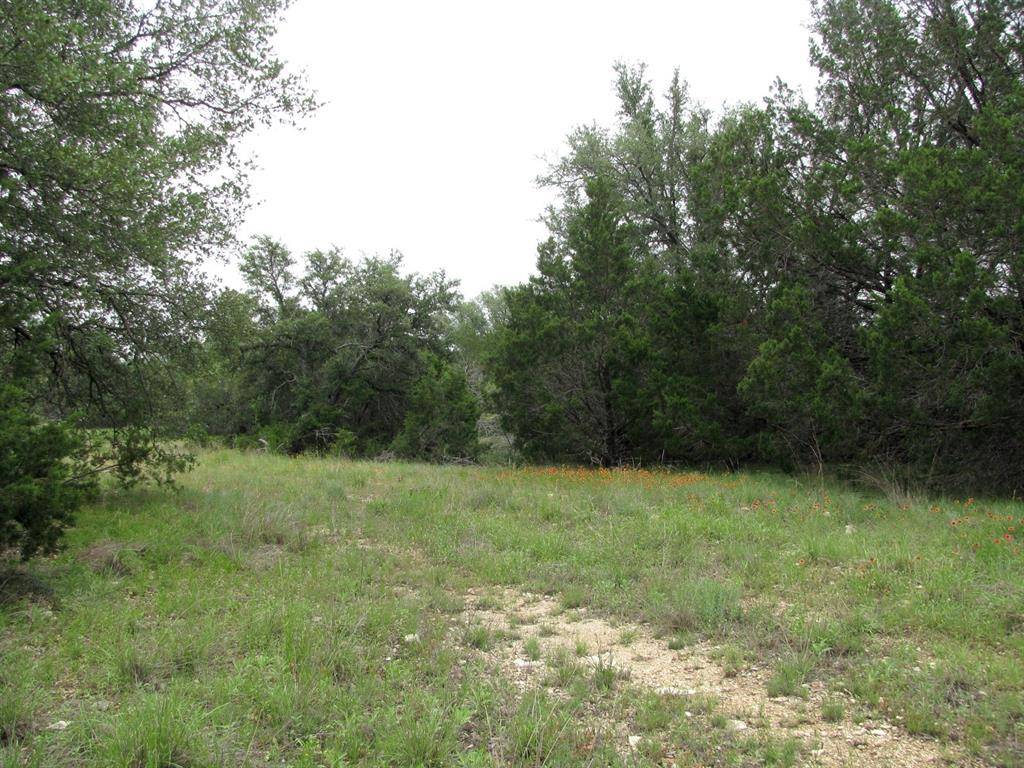 Evant, TX 76525,TBD-Lot 41 PR 42107