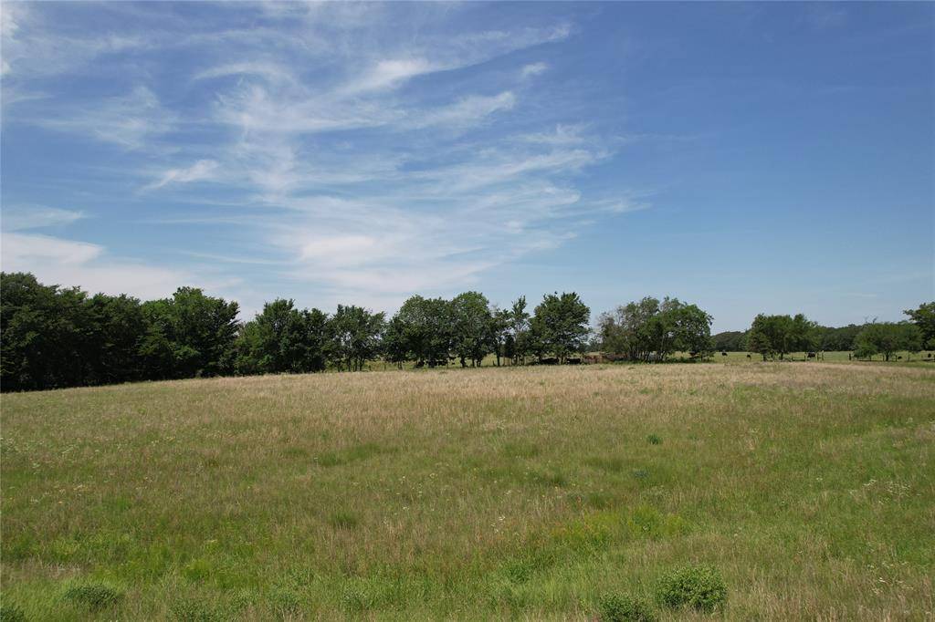 Yantis, TX 75497,Lots 31-33 Private Road 5986