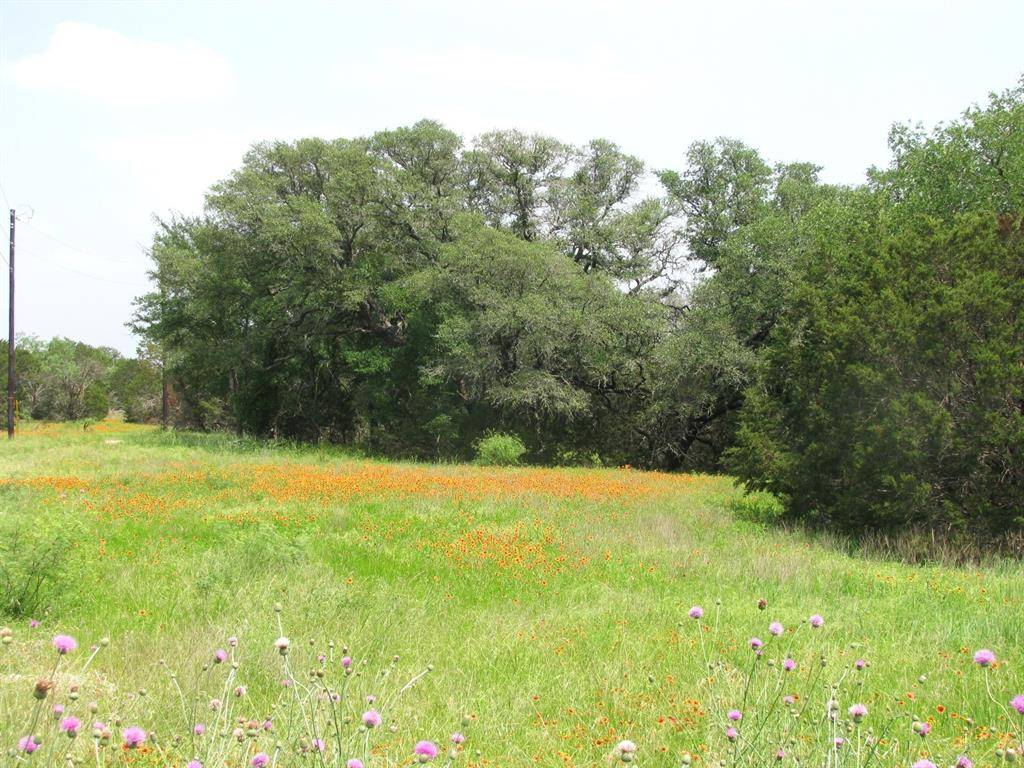 Evant, TX 76525,Lot 25 Phase 6 PR 42106