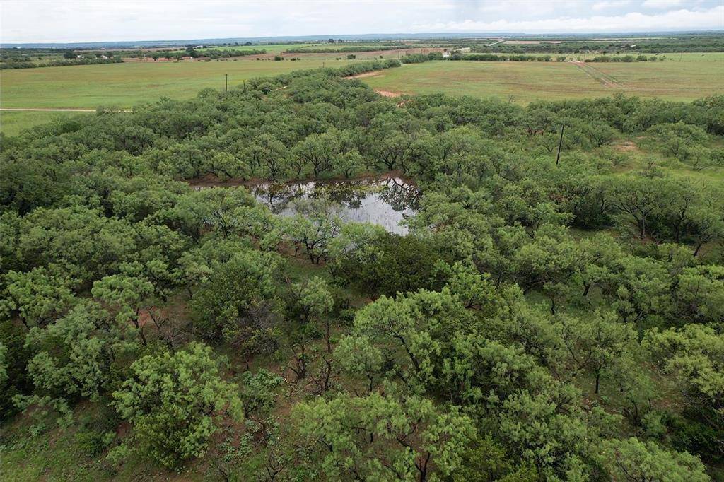 Ovalo, TX 79541,Tract 1 CR 180