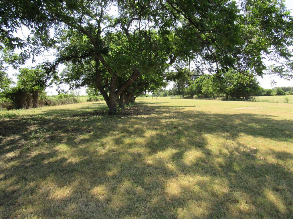 Bangs, TX 76823,310 S West Street