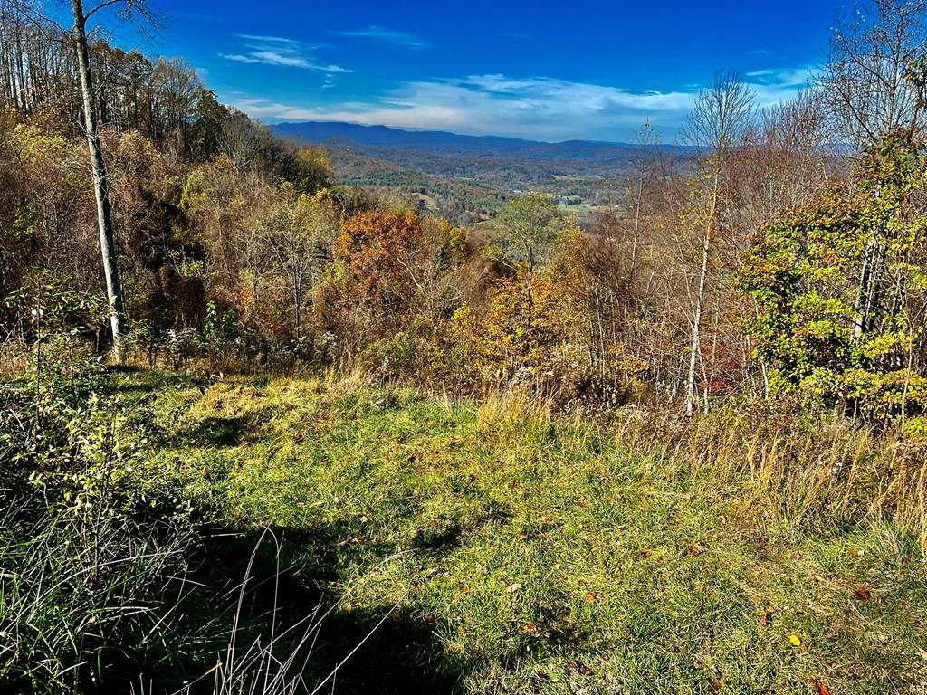 Brasstown, NC 28902,0 Mason Way