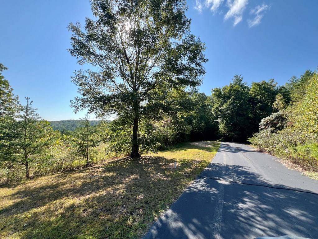 Murphy, NC 28906,Lot 20 Haley Cierra Drive