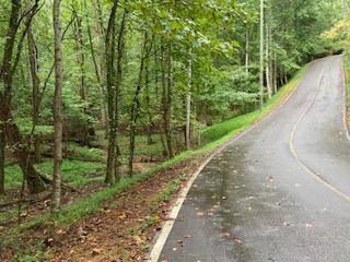 Ellijay, GA 30540,LOT 3485 BAMBY LANE