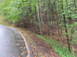 Ellijay, GA 30540,LOT 3485 BAMBY LANE