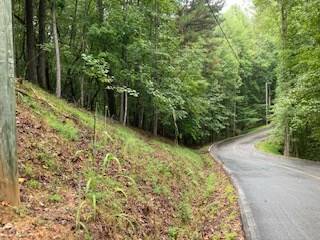 Ellijay, GA 30540,LOT 3485 BAMBY LANE