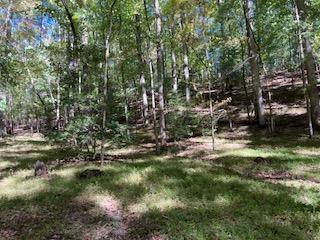 Ellijay, GA 30536,00 Goldmine Drive