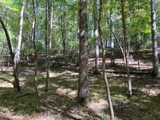 Ellijay, GA 30536,00 Goldmine Drive