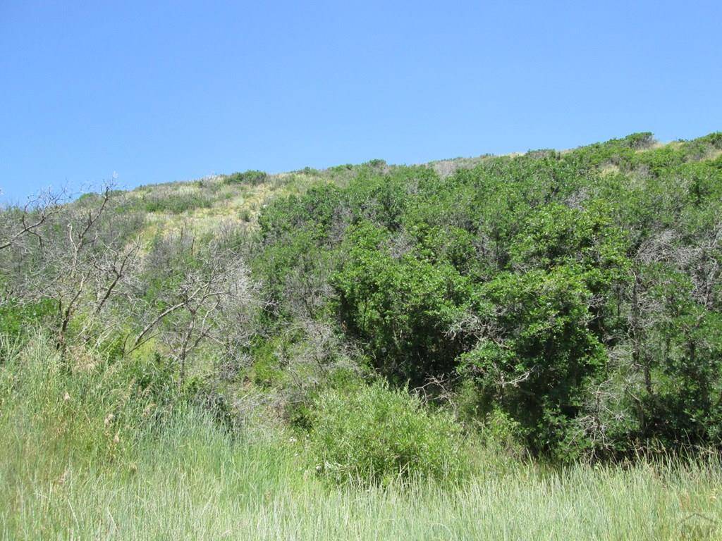 La Veta, CO 81055,Lot 32 Raspberry Mountain Ranch