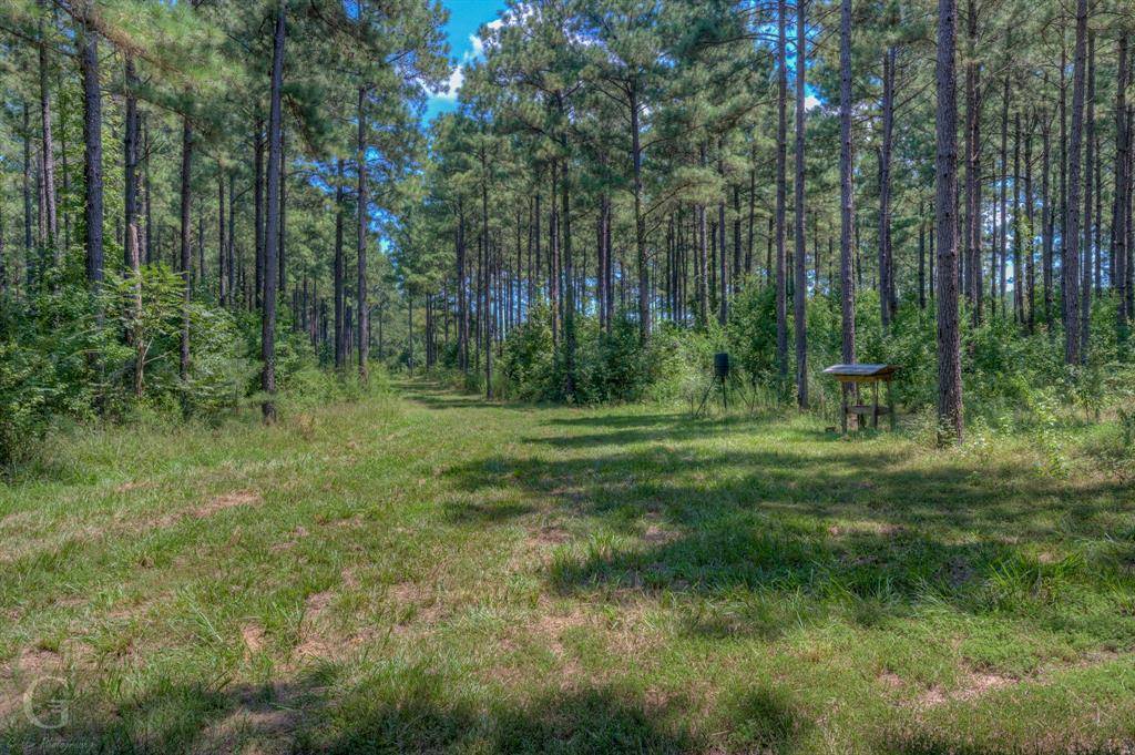 Ringgold, LA 71068,702 Pietsch Road