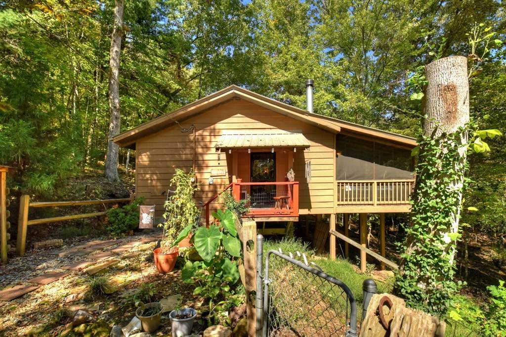 Blue Ridge, GA 30513,50 Skeenah Trail