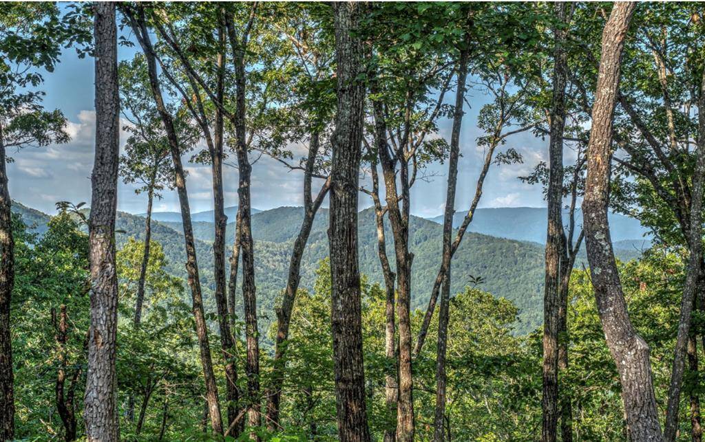 Ellijay, GA 30540,790 Utana Bluffs Trail