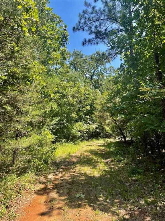 Clarksville, TX 75426,000 PRIVATE ROAD 7200