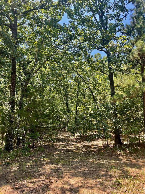 Clarksville, TX 75426,000 PRIVATE ROAD 7200