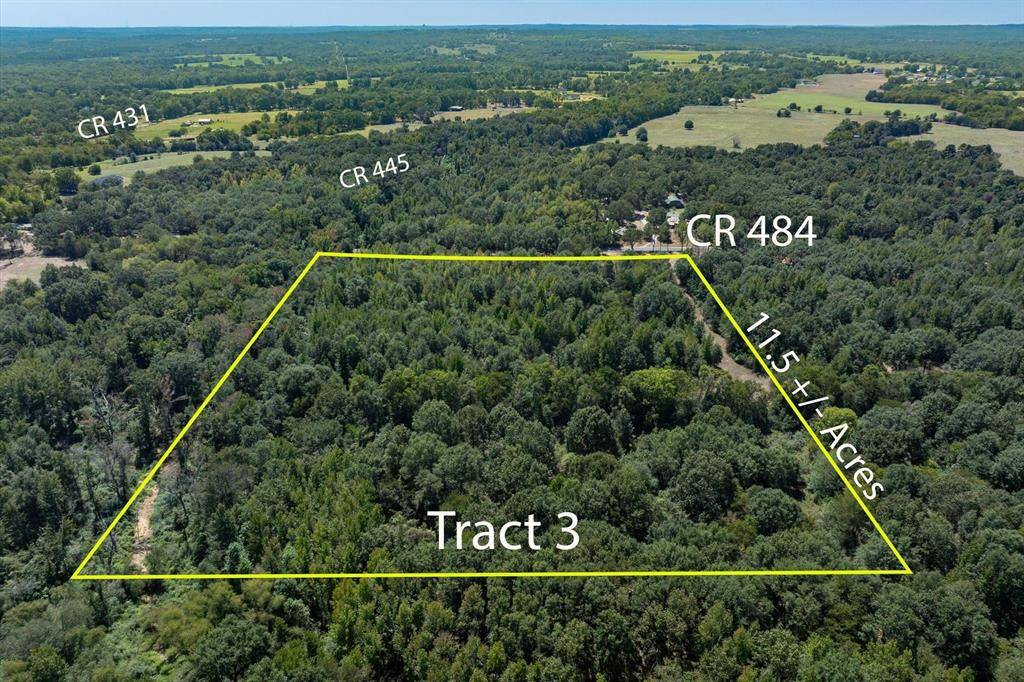 Mineola, TX 75773,Tract 3 County Road 484