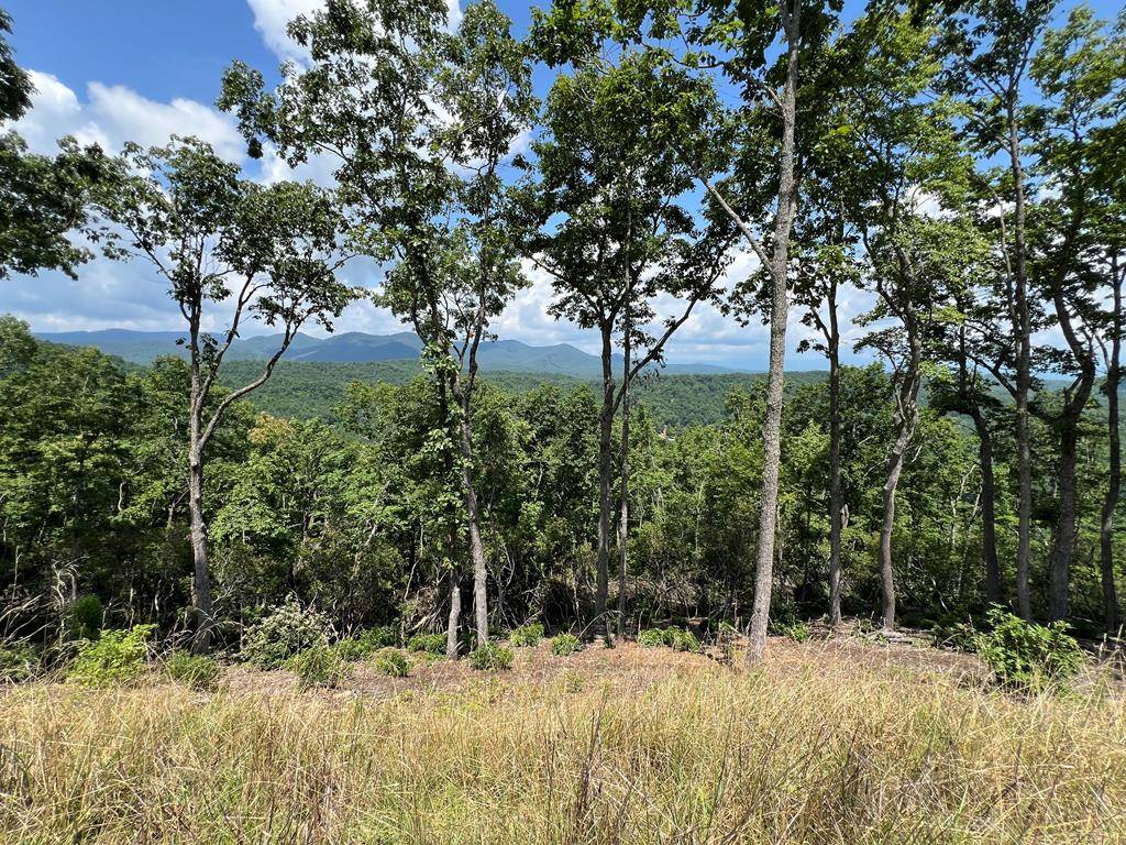 Murphy, NC 28906,Lot 182 Skyline View Road