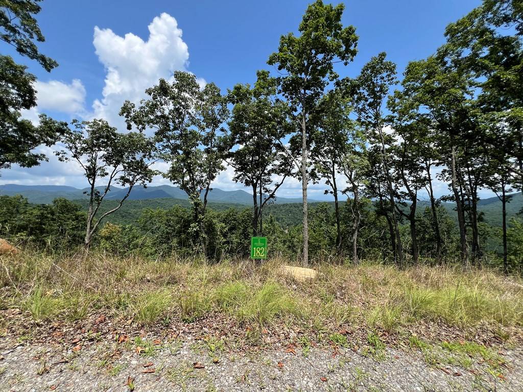 Murphy, NC 28906,Lot 182 Skyline View Road