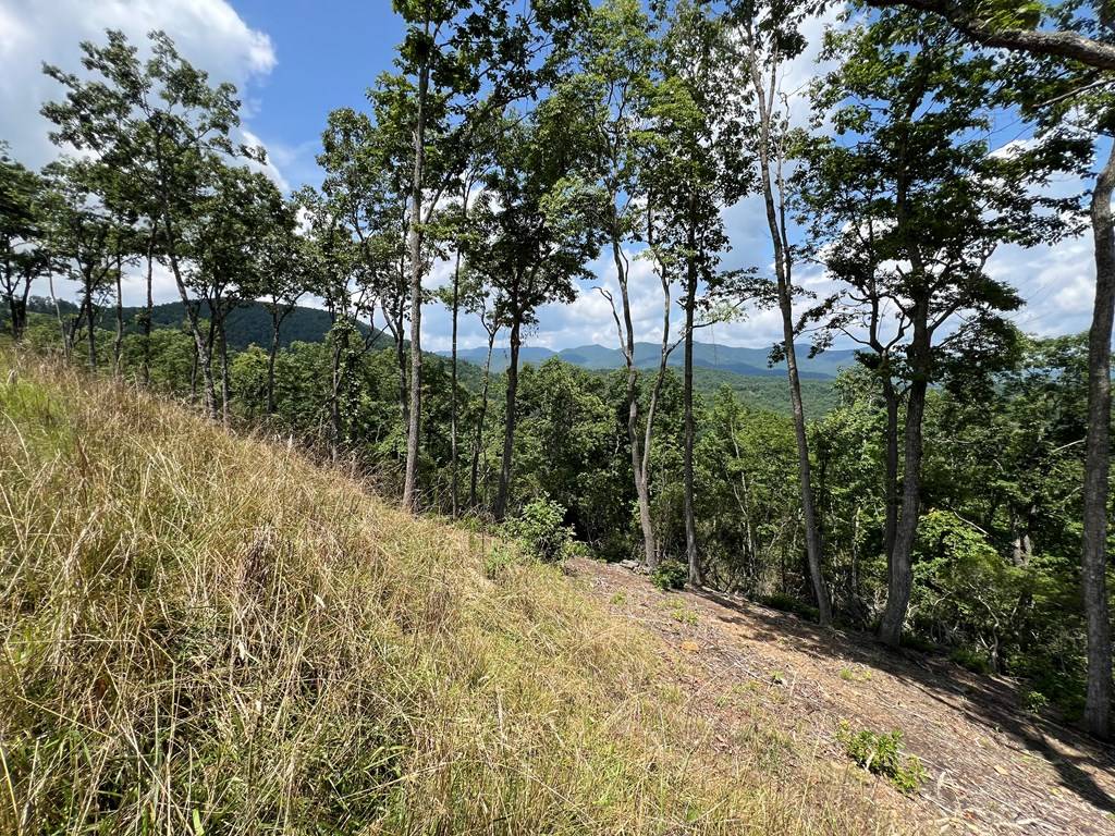 Murphy, NC 28906,Lot 182 Skyline View Road