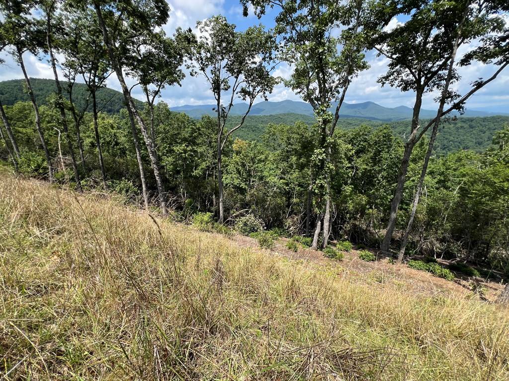 Murphy, NC 28906,Lot 182 Skyline View Road