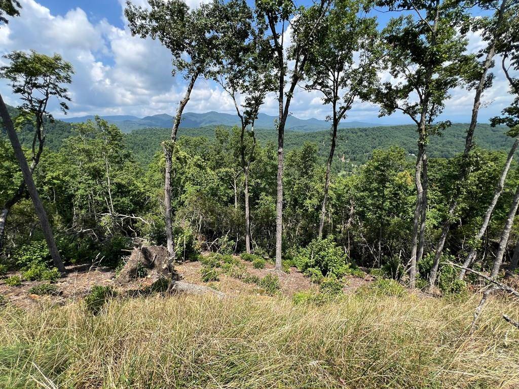 Murphy, NC 28906,Lot 183 Skyline View Road