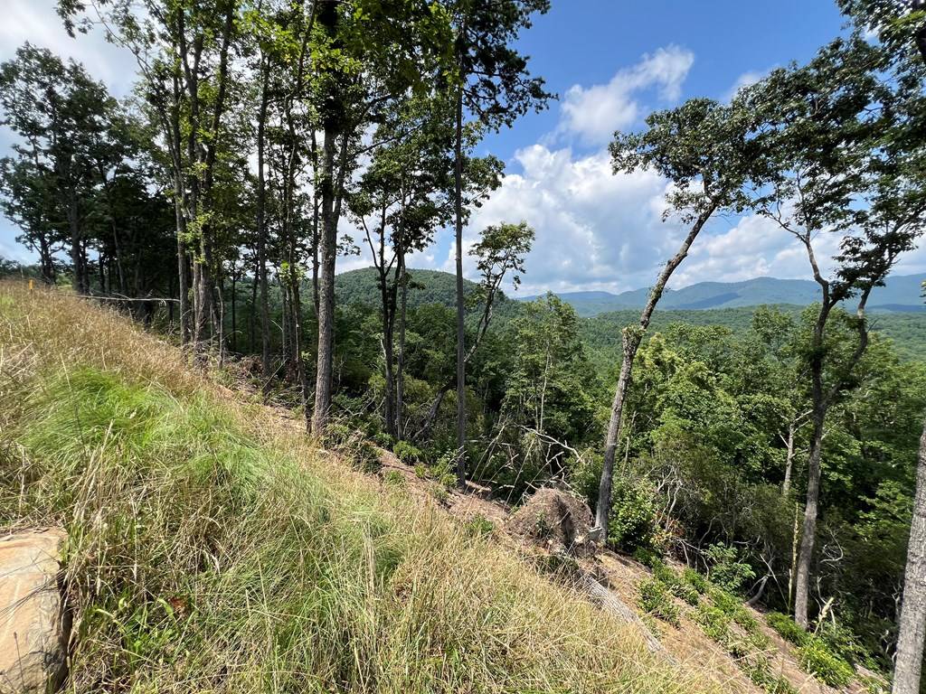 Murphy, NC 28906,Lot 183 Skyline View Road