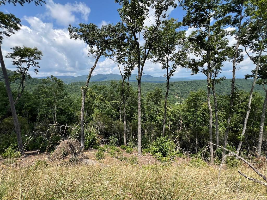 Murphy, NC 28906,Lot 183 Skyline View Road