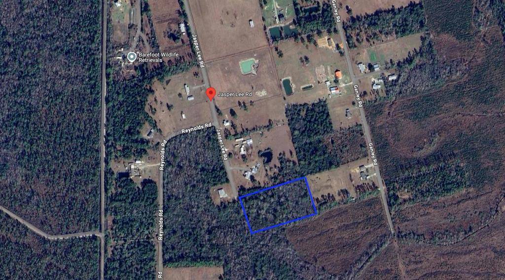 Wewahitchka, FL 32465,TBD Jasper Lee Rd