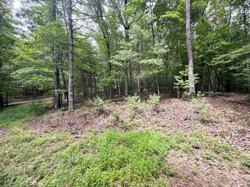 Blue Ridge, GA 30513,2.06 AC River Ridge Lane