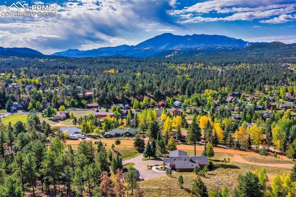 Woodland Park, CO 80863,250 Apache TRL