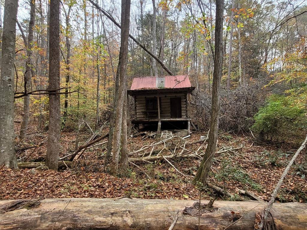 Ellijay, GA 30540,0 Old Chopped Oak Road