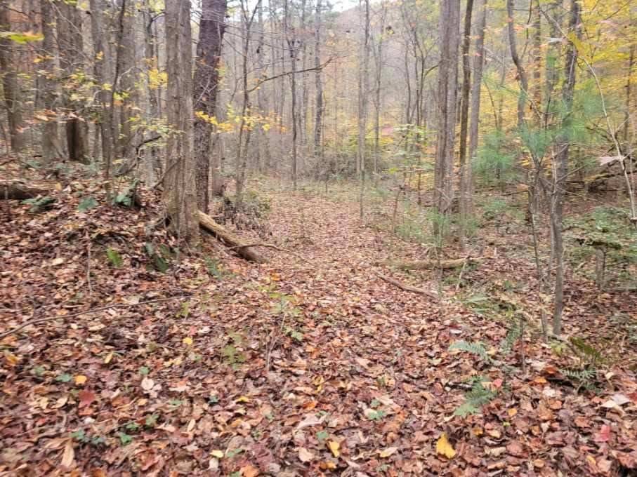 Ellijay, GA 30540,0 Old Chopped Oak Road