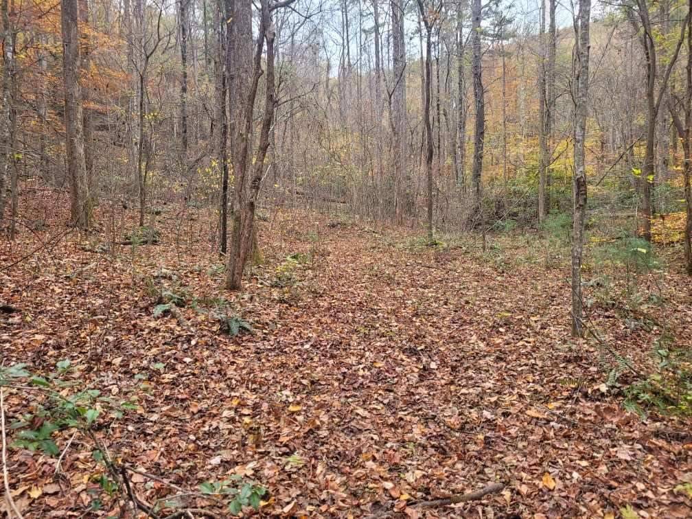 Ellijay, GA 30540,0 Old Chopped Oak Road