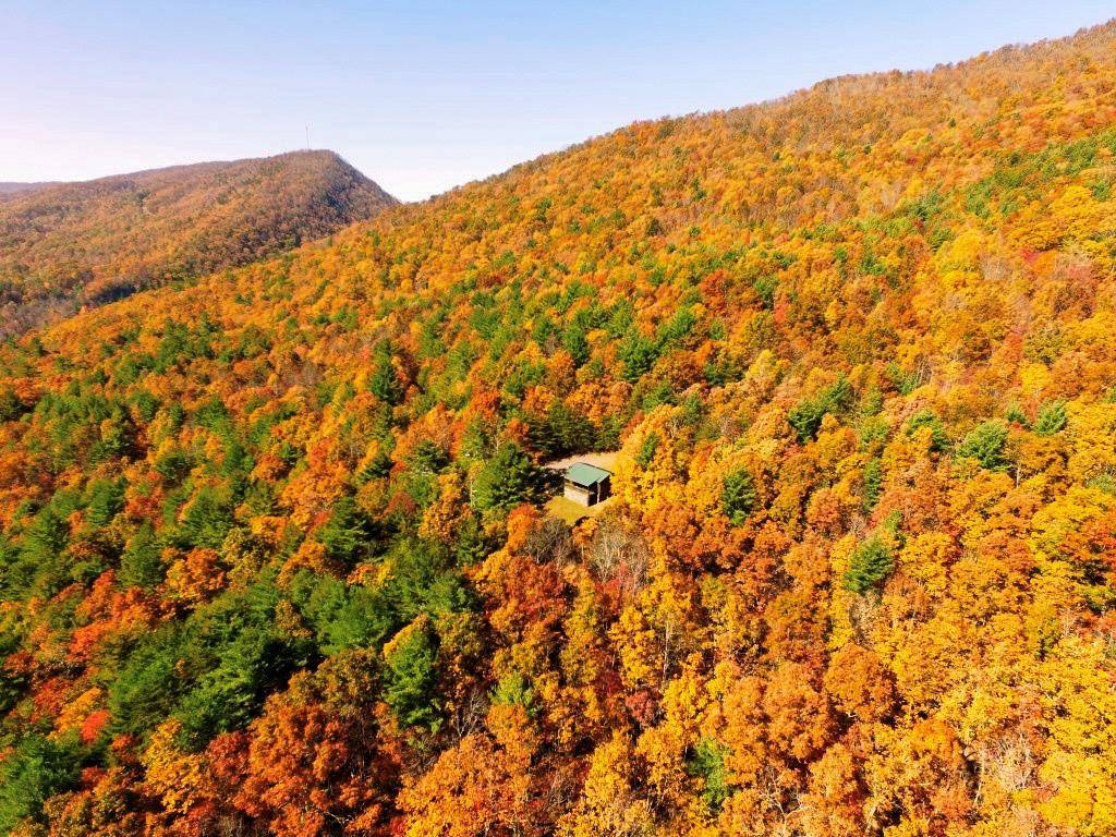 Rocky Gap, VA 24366,81.32 ac Wilderness Road