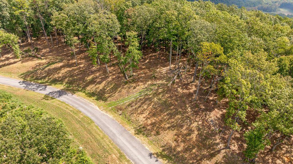 Talking Rock, GA 30175,Lot 54 High Summit Drive