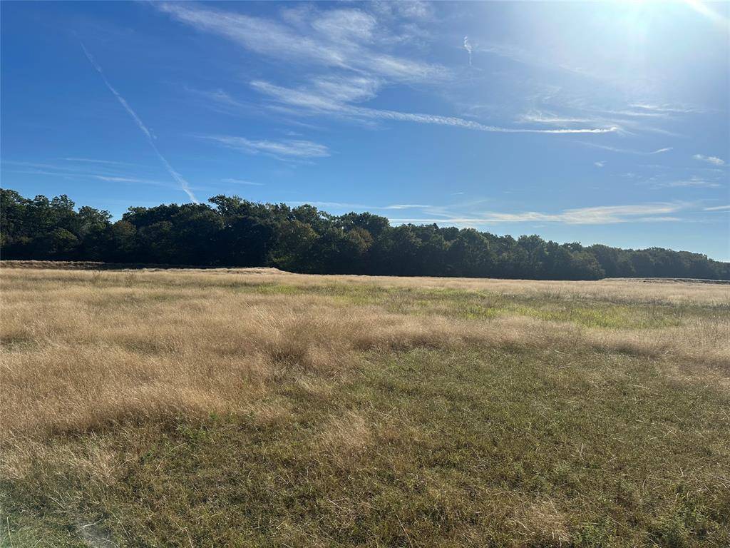 Whitesboro, TX 76273,Lot 6 Riley Road