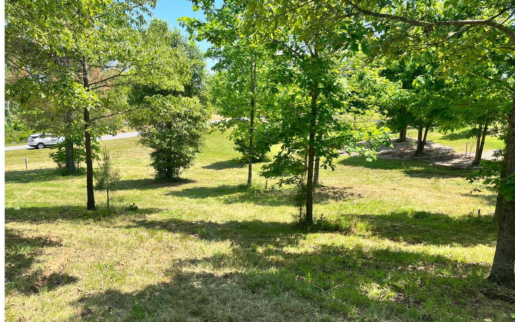 Blairsville, GA 30512,Lot 50 Northshore Drive