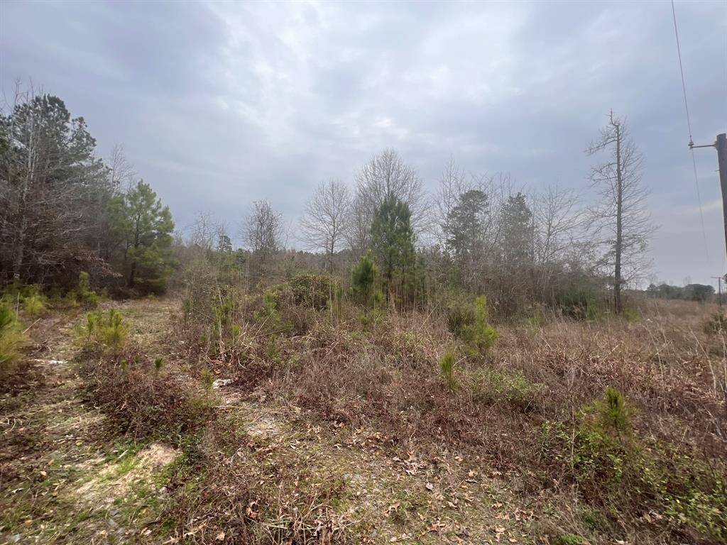 Minden, LA 71055,321 Fuller Road