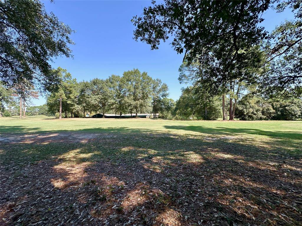 Holly Lake Ranch, TX 75765,TBD Holly Trail