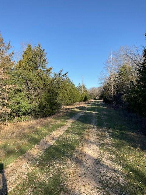 Buffalo, TX 75831,000 CR 381 Road