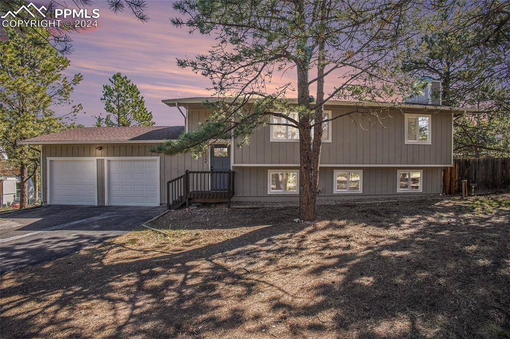 Woodland Park, CO 80863,1260 Michael LN