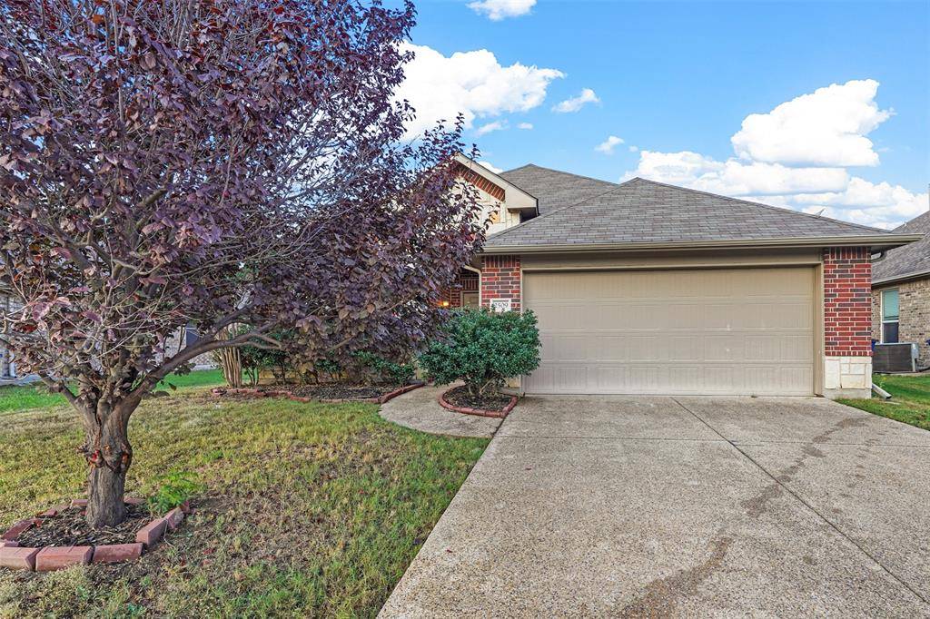 Little Elm, TX 75068,2509 Saddlehorn Drive