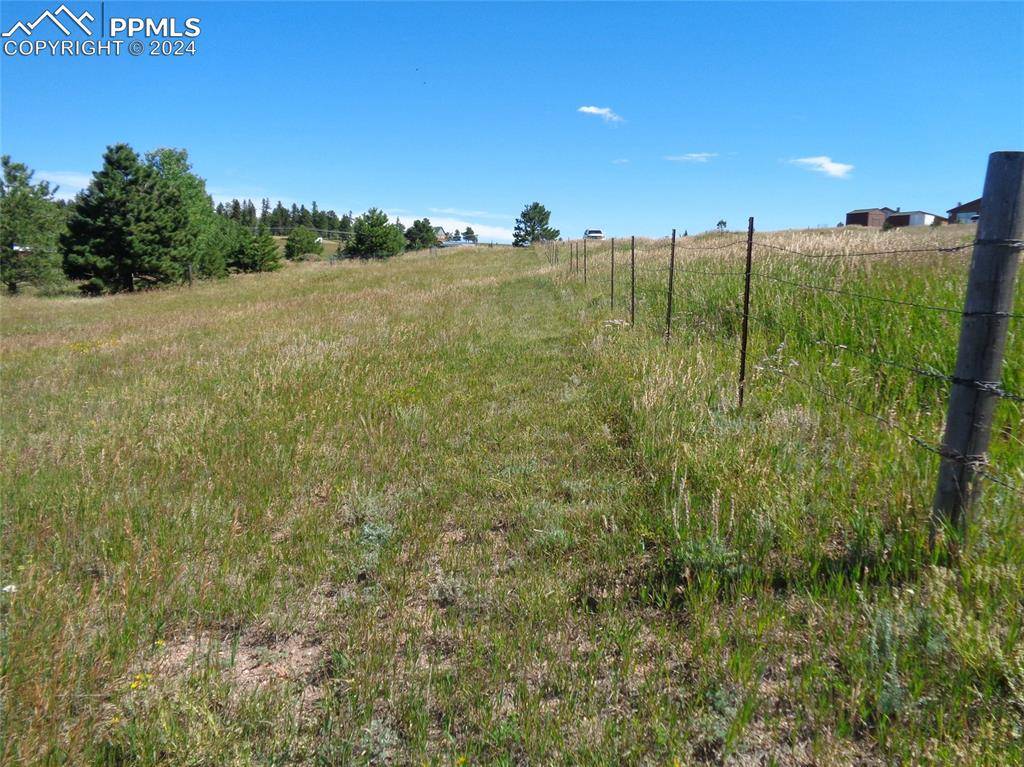 Divide, CO 80814,33 Grand View CIR