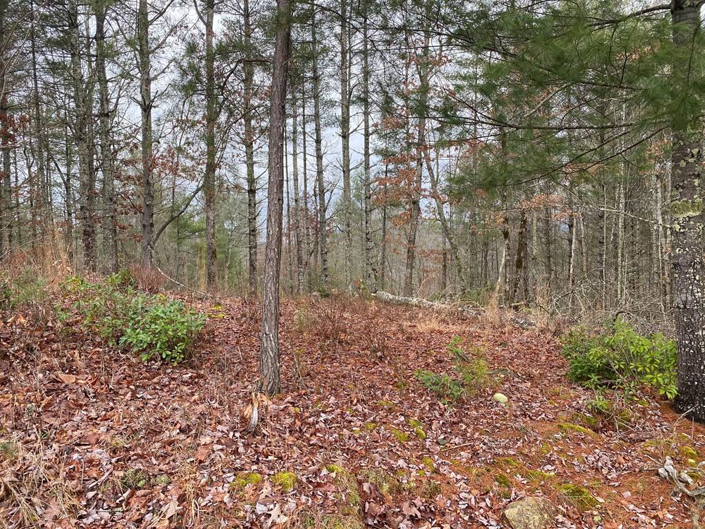 Murphy, NC 28906,Lot 95 River Mountain Road