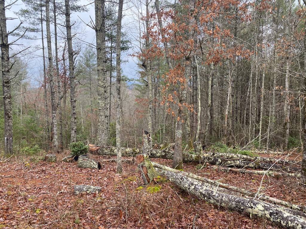 Murphy, NC 28906,Lot 95 River Mountain Road