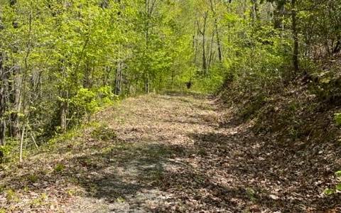 Hiawassee, GA 30546,00 Laurel Ridge, Lot 1