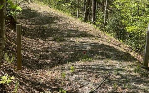 Hiawassee, GA 30546,00 Laurel Ridge, Lot 1