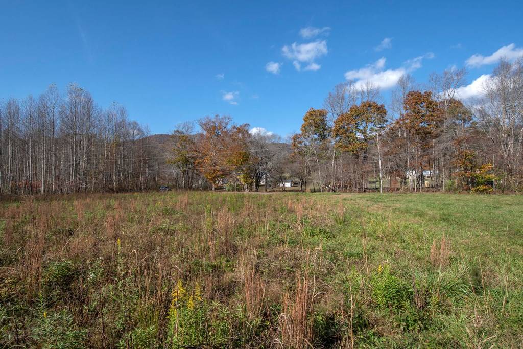 Hayesville, NC 28904,Tract 5 Tusquittee Creek Road